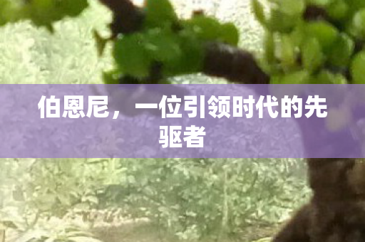 伯恩尼，一位引领时代的先驱者