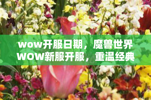 wow开服日期,魔兽世界WOW新服开服,重温经典之旅! wow开服日期,魔兽世界WOW新服开服,重温经典之旅!