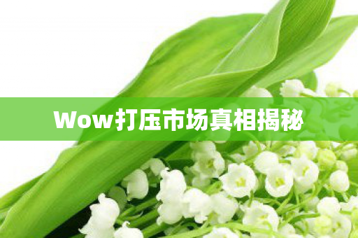 Wow打压市场真相揭秘 Wow打压市场真相揭秘