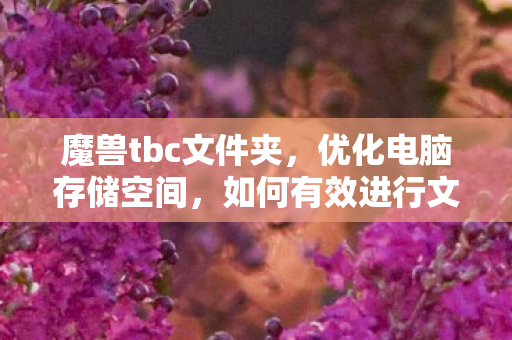 魔兽tbc文件夹,优化电脑存储空间,如何有效进行文件夹瘦身? 魔兽tbc文件夹,优化电脑存储空间,如何有效进行文件夹瘦身?