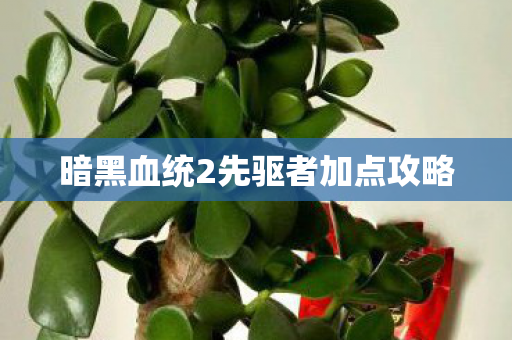 暗黑血统2先驱者加点攻略 暗黑血统2先驱者加点攻略
