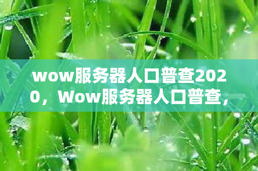 wow服务器人口普查2020,Wow服务器人口普查,揭示数字背后的故事 wow服务器人口普查2020,Wow服务器人口普查,揭示数字背后的故事