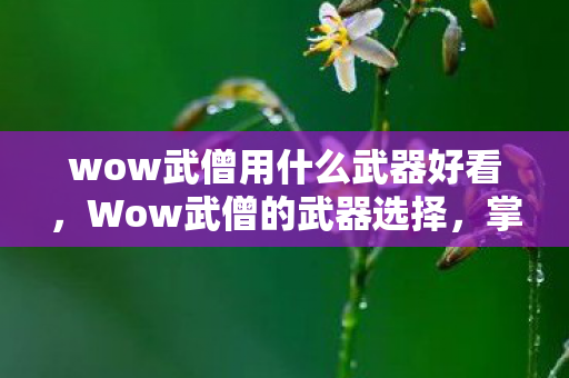 wow武僧用什么武器好看,Wow武僧的武器选择,掌握多样性与独特性的完美结合 wow武僧用什么武器好看,Wow武僧的武器选择,掌握多样性与独特性的完美结合