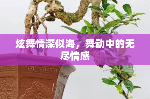 炫舞情深似海,舞动中的无尽情感 炫舞情深似海,舞动中的无尽情感