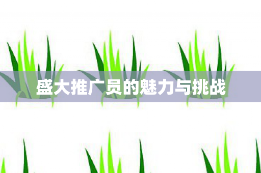 盛大推广员的魅力与挑战 盛大推广员的魅力与挑战
