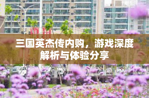 三国英杰传内购,游戏深度解析与体验分享 三国英杰传内购,游戏深度解析与体验分享