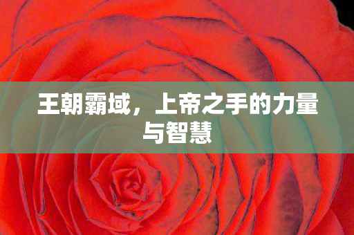 王朝霸域，上帝之手的力量与智慧