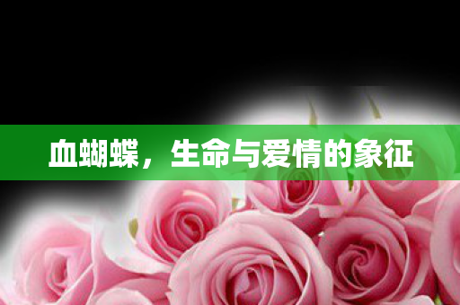 血蝴蝶,生命与爱情的象征 血蝴蝶,生命与爱情的象征