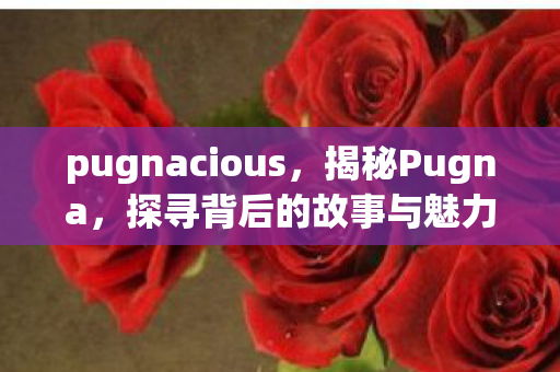 pugnacious,揭秘Pugna,探寻背后的故事与魅力 pugnacious,揭秘Pugna,探寻背后的故事与魅力