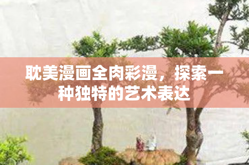 耽美漫画全肉彩漫，探索一种独特的艺术表达