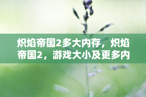 炽焰帝国2多大内存,炽焰帝国2,游戏大小及更多内容深度解析 炽焰帝国2多大内存,炽焰帝国2,游戏大小及更多内容深度解析