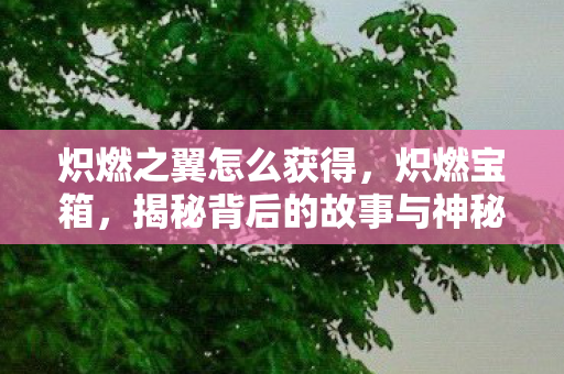 炽燃之翼怎么获得,炽燃宝箱,揭秘背后的故事与神秘力量 炽燃之翼怎么获得,炽燃宝箱,揭秘背后的故事与神秘力量