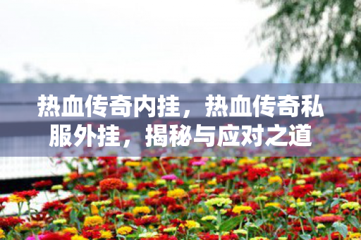 热血传奇内挂,热血传奇私服外挂,揭秘与应对之道 热血传奇内挂,热血传奇私服外挂,揭秘与应对之道