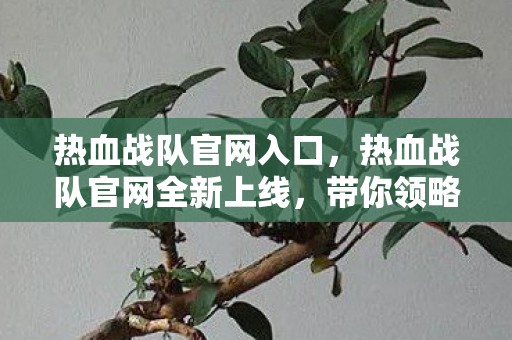 热血战队官网入口,热血战队官网全新上线,带你领略最刺激的竞技体验! 热血战队官网入口,热血战队官网全新上线,带你领略最刺激的竞技体验!