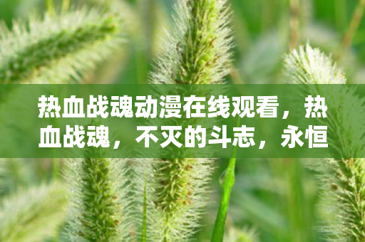热血战魂动漫在线观看,热血战魂,不灭的斗志,永恒的荣耀 热血战魂动漫在线观看,热血战魂,不灭的斗志,永恒的荣耀