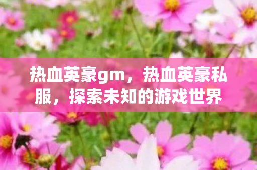 热血英豪gm,热血英豪私服,探索未知的游戏世界 热血英豪gm,热血英豪私服,探索未知的游戏世界