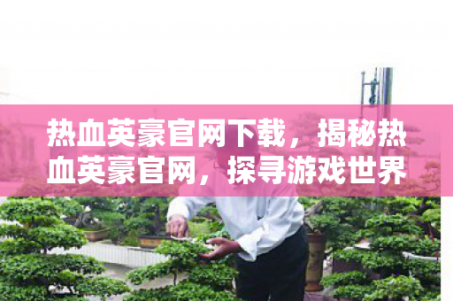 热血英豪官网下载,揭秘热血英豪官网,探寻游戏世界的无尽魅力 热血英豪官网下载,揭秘热血英豪官网,探寻游戏世界的无尽魅力