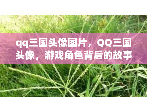 qq三国头像图片,QQ三国头像,游戏角色背后的故事与情感表达 qq三国头像图片,QQ三国头像,游戏角色背后的故事与情感表达