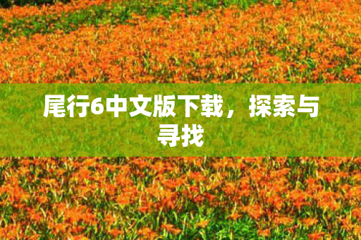 尾行6中文版下载，探索与寻找