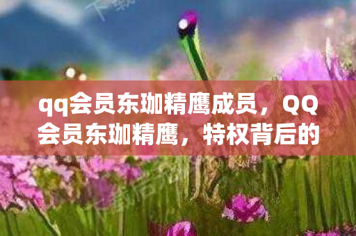 qq会员东珈精鹰成员,QQ会员东珈精鹰,特权背后的故事与成长之路 qq会员东珈精鹰成员,QQ会员东珈精鹰,特权背后的故事与成长之路