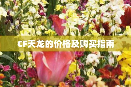 CF天龙的价格及购买指南 CF天龙的价格及购买指南