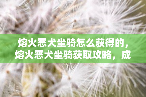 熔火恶犬坐骑怎么获得的，熔火恶犬坐骑获取攻略，成为烈焰之地的霸主