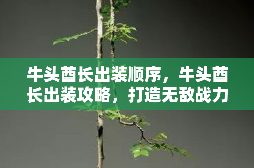 牛头酋长出装顺序,牛头酋长出装攻略,打造无敌战力装备组合 牛头酋长出装顺序,牛头酋长出装攻略,打造无敌战力装备组合