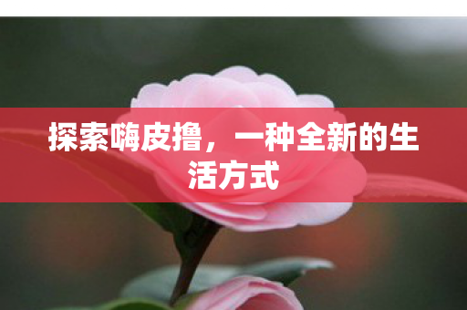 探索嗨皮撸,一种全新的生活方式 探索嗨皮撸,一种全新的生活方式