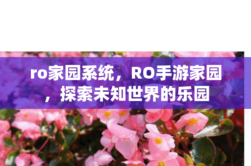 ro家园系统,RO手游家园,探索未知世界的乐园 ro家园系统,RO手游家园,探索未知世界的乐园