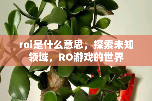 roi是什么意思,探索未知领域,RO游戏的世界 roi是什么意思,探索未知领域,RO游戏的世界
