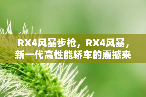 RX4风暴步枪,RX4风暴,新一代高性能轿车的震撼来袭 RX4风暴步枪,RX4风暴,新一代高性能轿车的震撼来袭
