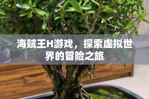 海贼王H游戏，探索虚拟世界的冒险之旅