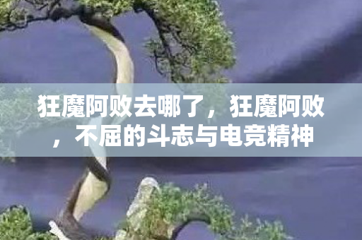 狂魔阿败去哪了,狂魔阿败,不屈的斗志与电竞精神 狂魔阿败去哪了,狂魔阿败,不屈的斗志与电竞精神