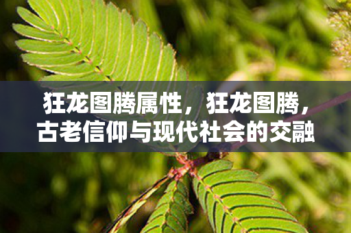 狂龙图腾属性,狂龙图腾,古老信仰与现代社会的交融 狂龙图腾属性,狂龙图腾,古老信仰与现代社会的交融