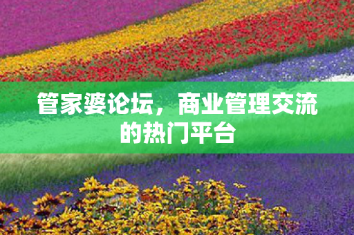 管家婆论坛，商业管理交流的热门平台