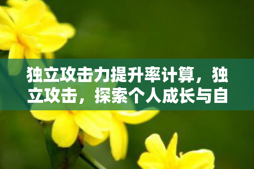 独立攻击力提升率计算,独立攻击,探索个人成长与自我赋能的新纪元 独立攻击力提升率计算,独立攻击,探索个人成长与自我赋能的新纪元