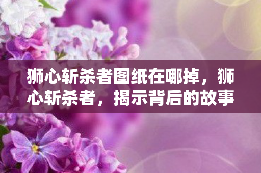 狮心斩杀者图纸在哪掉,狮心斩杀者,揭示背后的故事与真相 狮心斩杀者图纸在哪掉,狮心斩杀者,揭示背后的故事与真相