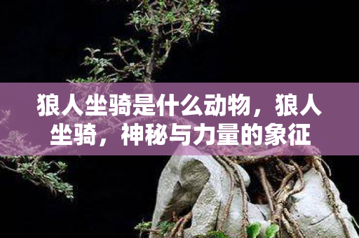 狼人坐骑是什么动物,狼人坐骑,神秘与力量的象征 狼人坐骑是什么动物,狼人坐骑,神秘与力量的象征