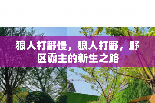 狼人打野慢,狼人打野,野区霸主的新生之路 狼人打野慢,狼人打野,野区霸主的新生之路