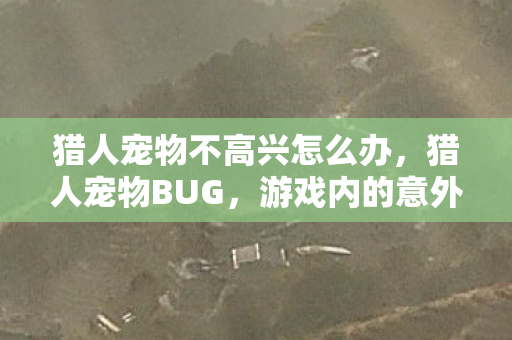 猎人宠物不高兴怎么办,猎人宠物BUG,游戏内的意外惊喜与挑战 猎人宠物不高兴怎么办,猎人宠物BUG,游戏内的意外惊喜与挑战