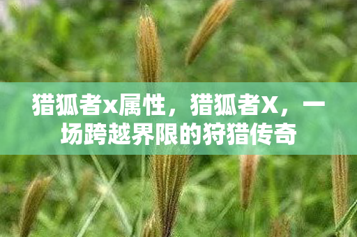 猎狐者x属性,猎狐者X,一场跨越界限的狩猎传奇 猎狐者x属性,猎狐者X,一场跨越界限的狩猎传奇