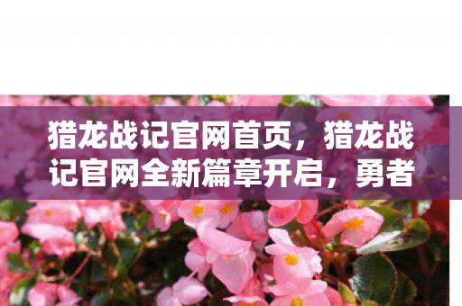 猎龙战记官网首页,猎龙战记官网全新篇章开启,勇者集结,共赴荣耀征途! 猎龙战记官网首页,猎龙战记官网全新篇章开启,勇者集结,共赴荣耀征途!