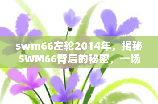swm66左轮2014年，揭秘SWM66背后的秘密，一场科技与创新的融合之旅