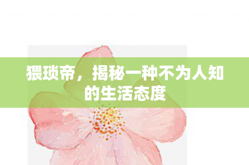 猥琐帝，揭秘一种不为人知的生活态度