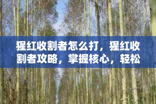 猩红收割者怎么打，猩红收割者攻略，掌握核心，轻松成为收割大师！