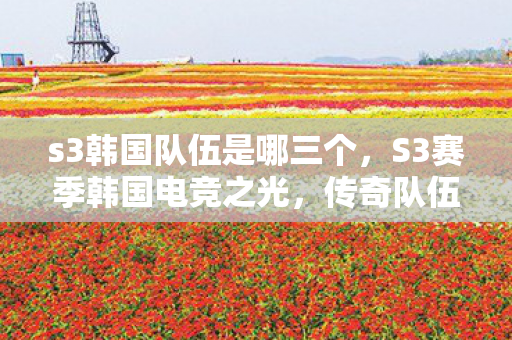 s3韩国队伍是哪三个,S3赛季韩国电竞之光,传奇队伍的背后故事 s3韩国队伍是哪三个,S3赛季韩国电竞之光,传奇队伍的背后故事