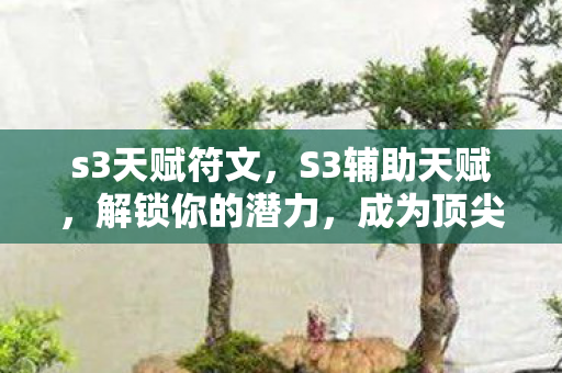s3天赋符文,S3辅助天赋,解锁你的潜力,成为顶尖游戏辅助大师 s3天赋符文,S3辅助天赋,解锁你的潜力,成为顶尖游戏辅助大师
