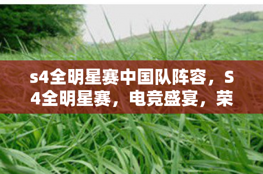 s4全明星赛中国队阵容,S4全明星赛,电竞盛宴,荣耀之巅 s4全明星赛中国队阵容,S4全明星赛,电竞盛宴,荣耀之巅