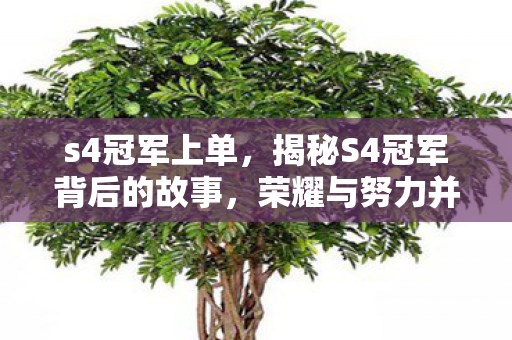 s4冠军上单,揭秘S4冠军背后的故事,荣耀与努力并行 s4冠军上单,揭秘S4冠军背后的故事,荣耀与努力并行