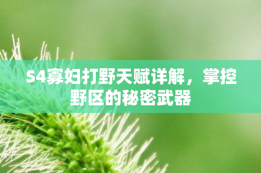 S4寡妇打野天赋详解,掌控野区的秘密武器 S4寡妇打野天赋详解,掌控野区的秘密武器